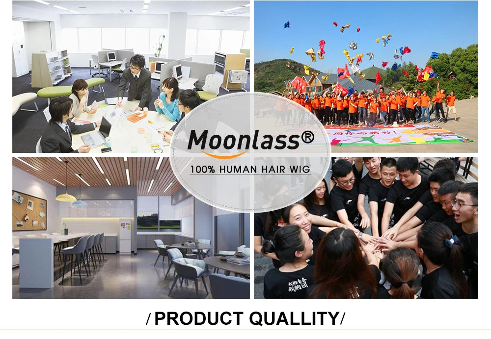 Ash Blonde Body Wave Wigs Human Hair Glueless 150 Density Remy Preplucked Highlight Brown Human Hair Wig 13x6 Lace Frontal Wigs